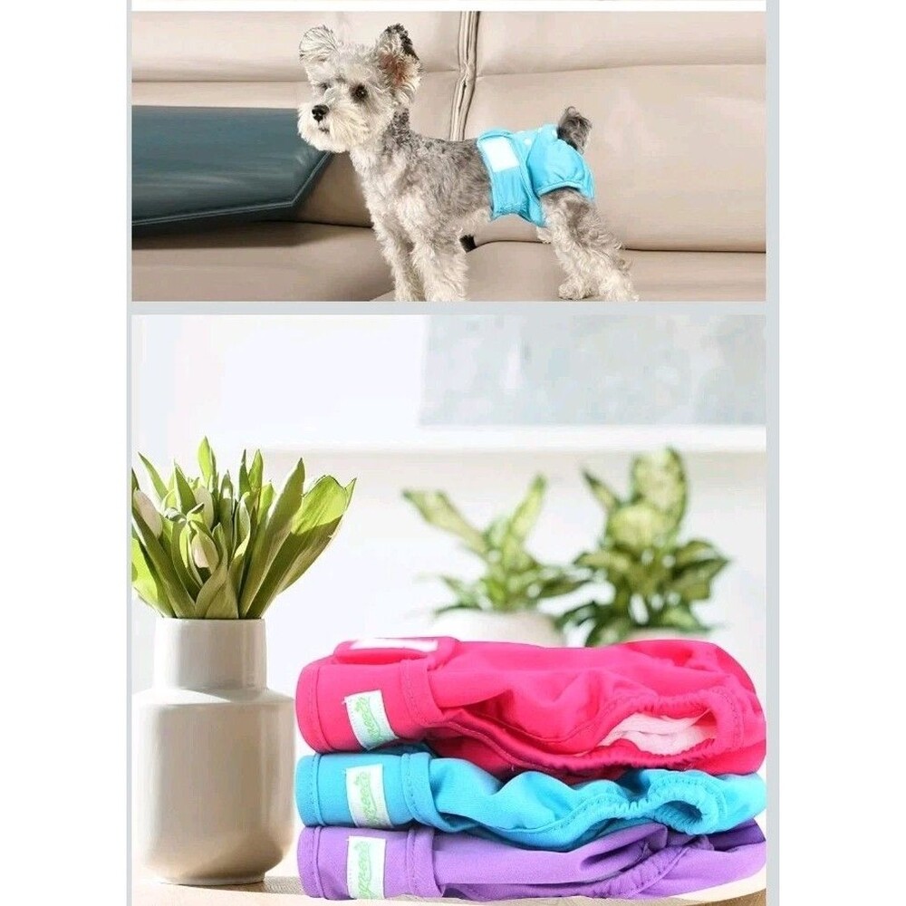 Washable Female Dog Diapers - Pack of 3, Medium, Bright Colors